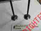 659617 Revtech 2 Harley Evolution Twin Cam Performance Exhaust Valves 1.610