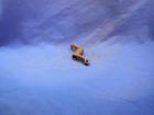 67-0267 Bsa Rt Ex Rocker