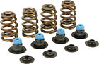 276-01155 74856kh1 Lunati Beehive Kit Up To Lift Twin Cams