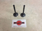 70-2904 750 Pn Triumph 2 Black Valves Bd . Exhaust 650 Diamond