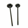 756557481372 Ahl Pair Intake Exhaust Valve Stem For Suzuki