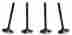 80-80430 80-80433 Kibblewhite Intake Exhaust Valves Kit Yamaha 700 Raptor Grizzly Rhino Viking 744430317566