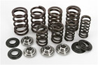 80-80750 Kibblewhite Precision Valve Spring 80-80750 Kibblewhite Precision Valve Spring