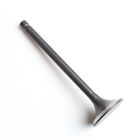 5h0-12111-02-00 810-c-vlv-0011 - Cylinder Intake Valve Yamaha Bear Tracker Timberwolf