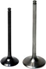 8400002-2 Vertex Titanium Intake Valve