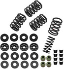 900-0420 S Cycle Dual Valve