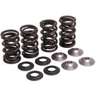 91-91156 Kibblewhite Valve Spring Kit