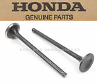 14721-kr6-000 91-96 86-95 Genuine Y141 Xr250 Valve Exhaust Honda