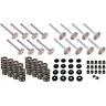 2.02-1.60-oem 9108751 Speedway Motors Cylinder Head Valve Kit Springs