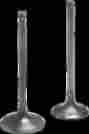 96-96162t 9696162t Kibblewhite Precision Tensilite Titanium Valves