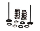 96-96540 Kibblewhite Precision Ktm Xcf Sxf Race Titanium Springs Intake Valves