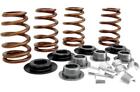 9708-kit Comp Cams Beehive Valve Spring Kit For Harley Twin Cam