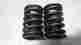 18201-83 99-06 18202-83 Harley-davidson Harley Davidson Twin Cam 88 Valve Springs Pair Stock O.e.m
