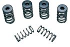 99211 Manley Valve Spring Kit