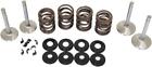 99212 Manley Valve Spring Kit