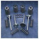99213 Manley Valve Spring Kit