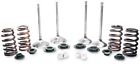 99282 Manley Race Master Valvetrain