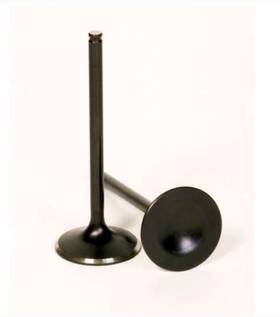 Bronco Au-09032e Replacement Exhaust Valve