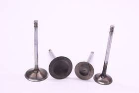 Canam 420254295 Can-am Ds450 Intake Exhaust Valve Set 420254682