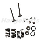 Crf110f Unbranded Generic Intake Exhaust Valves Spring Reduild Kit For 110cc Honda Ca110 Elite 110