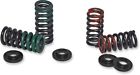 Cvvsk11002 Xceldyne Valve Spring Kit