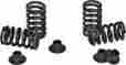 Cvvsk23000 Xceldyne Valve Spring Kit