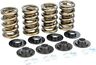 Ds1001 Comp Dual Valve Spring Kit Lift Chromoly Retainers