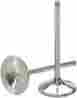 Dw-crf250r-iv04 Del West Intake Valve Titanium Dw-crf250r-iv04 Del West Intake Valve Titanium