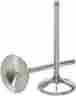 Dw-rmz450-ev08 Del West Exhaust Valve Titanium Dw-rmz450-ev08 Del West Exhaust Valve Titanium