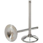 Dw-rmz450-iv05 Del West Engine Valve Dw-rmz450-iv05 Del West Engine Valve