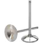Dwcrf250riv10 Del West Valve Intk Dwcrf250riv10 Del West Valve Intk