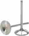 Dwcrf250riv10nd Del West Intake Valve No Dish