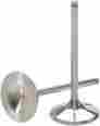 Dwcrf4502osiv09 Del West Exhaust Valve