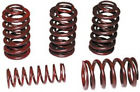 61314 Evolution 86-03 Twin 99-04 Spring 84-99 Sportster Set Andrews Valve Cam Evo