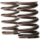 Fmx-124-1202 Faction Mx Valve Spring