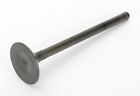 Gg-1041xr250r Gg-1041-ex Valveshonda 96-04 Vesrah