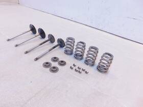 18000016 Harley-davidson 2018-2022 Softail Road King Electra Glide Intake Exhaust Valves 18000016 Harley-davidson 2018-2022 Softail Road King Electra Glide Intake Exhaust Valves