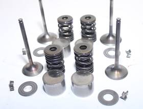 Kawasaki 12004-0026 2008-2014 Kfx450r Intake And Exhaust Valve Set With Springs Hardware