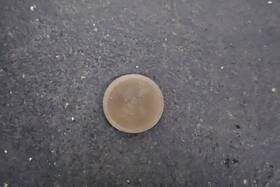 Kawasaki 12037-058 1976 1977 1978 1979 1980 Kz750 2.55 Adjusting Pad 32mm Valve Shim