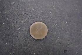 Kawasaki 12037-059 1976 1977 1978 1979 1980 Kz750 2.60 Adjusting Pad 32mm Valve Shim