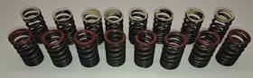 Kawasaki 49078-0050 07 Zx14 Valve Spring Set Intake Exhaust Zx-14 Ninja Oem