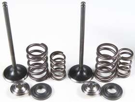 96-96450 Kibblewhite Intake Valve And Spring Kit Stainless Steel