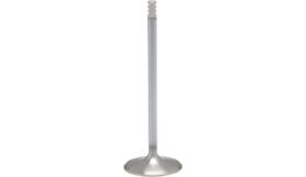 20-21012h Kibblewhite Precision White Diamond Inconel Intake Valve