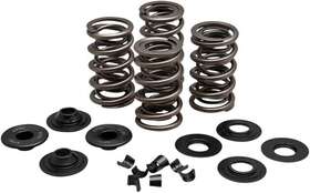 Kibblewhite Precision 20-21650 Valve Spring Kit #20-21650 Harley Davidson