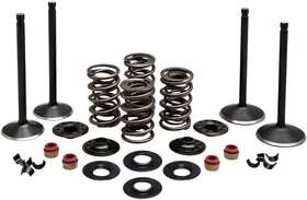 20-22650 Kibblewhite Precision Black Diamond Complete Engine Valve Kit #20-22650