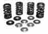 30-30640 Kibblewhite Spring Crf450r Kit Valve 30-30640 Kibblewhite Spring Crf450r Kit Valve