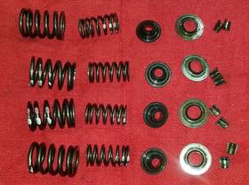 Ktm 60036033000 525 Exc 2003 Valve Springs With Collets 83036028144