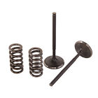 28.ses6329-1 Mfg Pro X Steel Exhaust Valve Spring Kit Ktm 250 Sx-f 2008