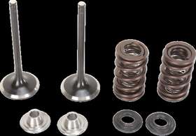 Xf-2-0926-2439 Moose Racing Intake Valve Kit0926-2439 For 2004-2019 Kawasaki Kx 250 F