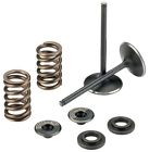 Ms-473-4700 Moose Valve Racing Kit Intake Ms-473-4700 Moose Valve Racing Kit Intake